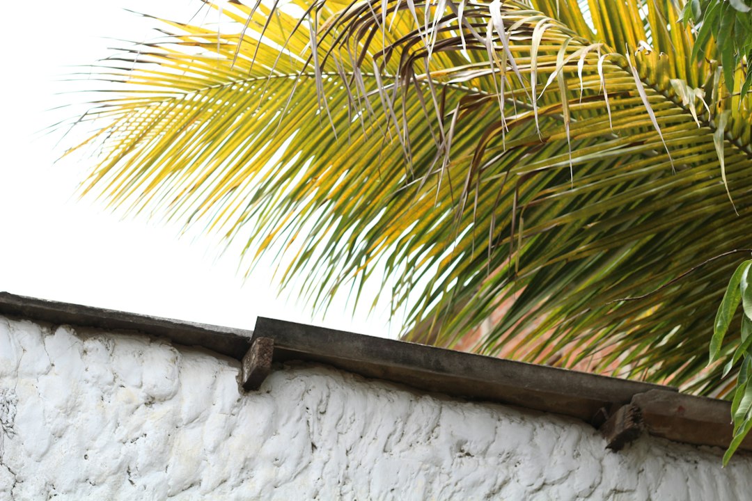 Vivienda soleada estilo Costa Caribe